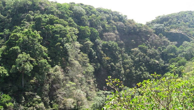 Atelier de laine + Valle Escondido - Photo 2