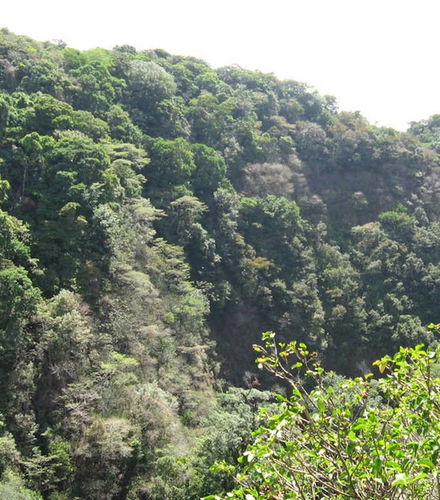 Foto de Taller de lana + Valle Escondido