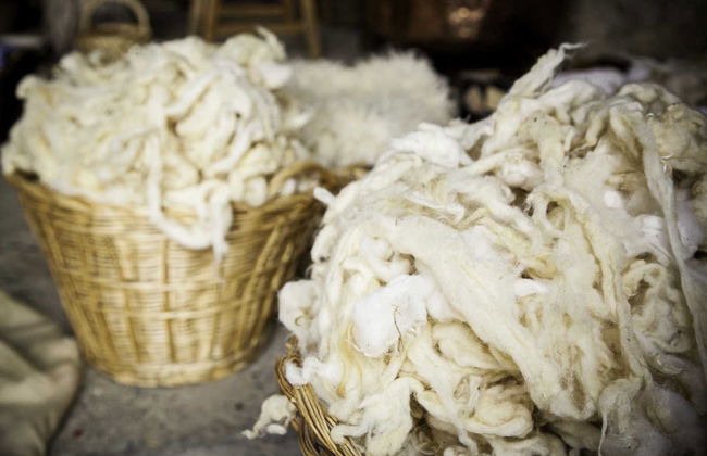 Atelier de laine + Valle Escondido - Photo 1