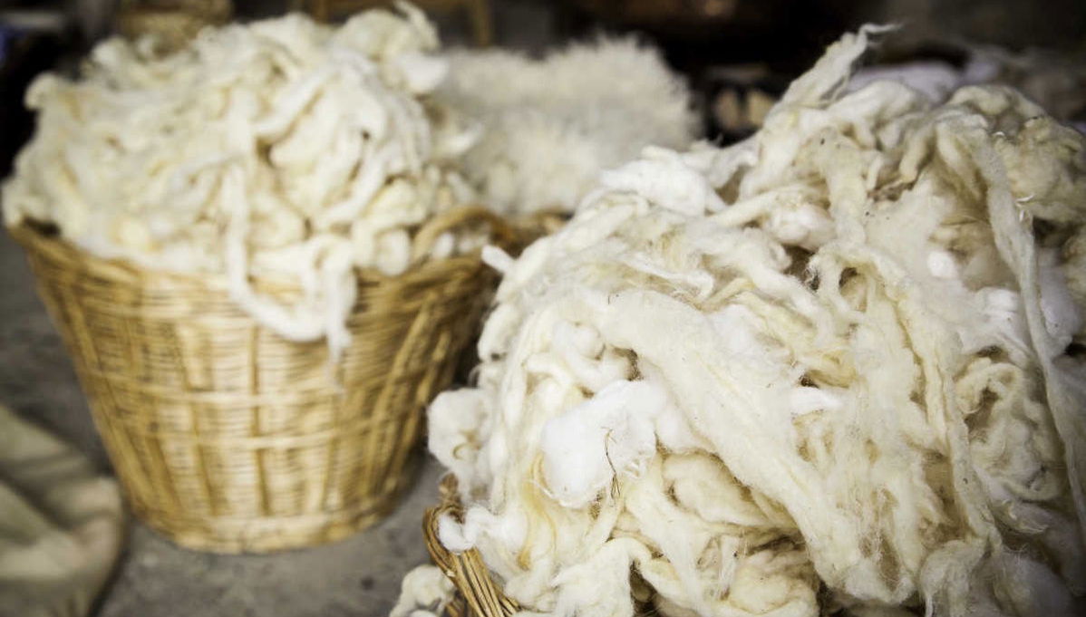 Atelier de laine + Valle Escondido - Photo 1