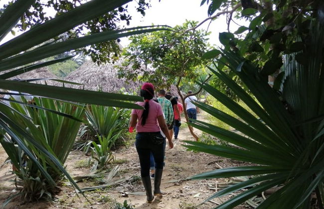 Excursión a una comunidad indígena Kogui - Foto 3