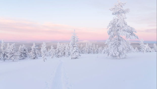 Äkäslompolo Snowmobile Tour - Photo 3