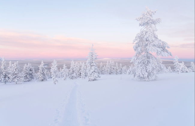 Balade en motoneige à Äkäslompolo - Photo 3