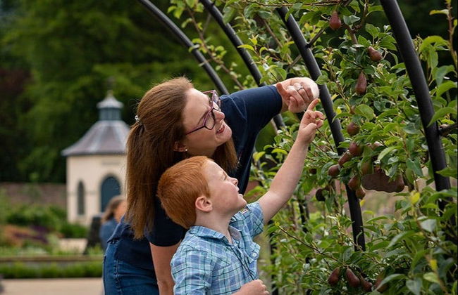 Biglietti per i giardini del castello di Hillsborough - Foto 4