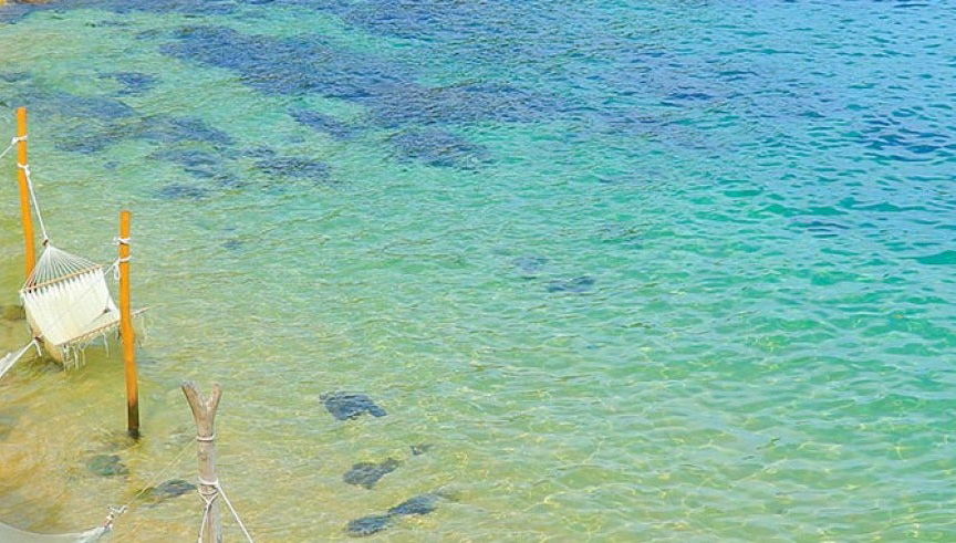 Las Caletas Excursion - Foto 1