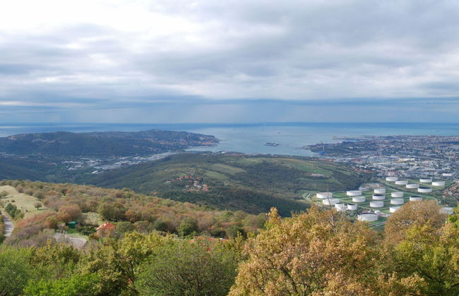 Excursión a Socerb, Hrastovlje y Marezige - Foto 1