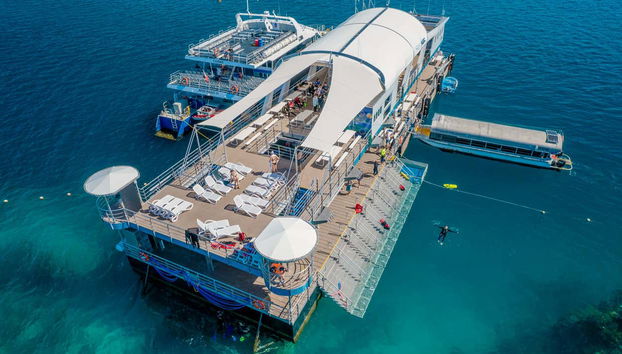 Escursione alla Grande Barriera Corallina e alla piattaforma Reef Magic - Foto 2