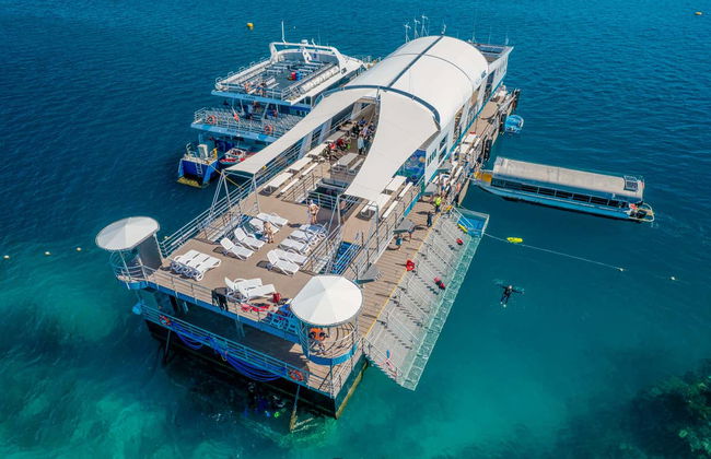 Excursion à la Grande Barrière de Corail et plateforme Reef Magic - Photo 2