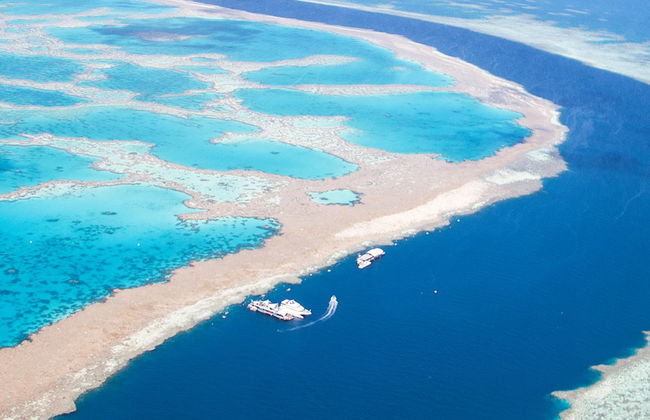Outer Great Barrier Reef Cruise & Reef Magic Platform - Photo 4