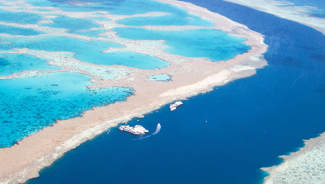 Excursión a la Gran Barrera de Coral y plataforma Reef Magic