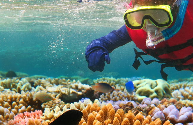 Excursão à Grande Barreira de Coral e plataforma Reef Magic - Foto 3