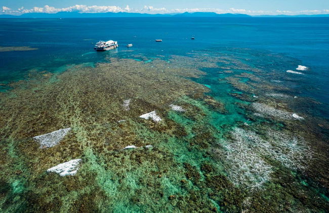 Excursion à la Grande Barrière de Corail et plateforme Reef Magic - Photo 4