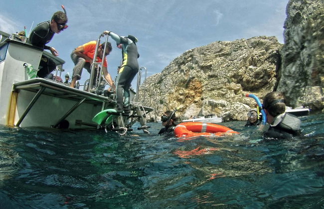 Snorkel en las islas Medas - Foto 6