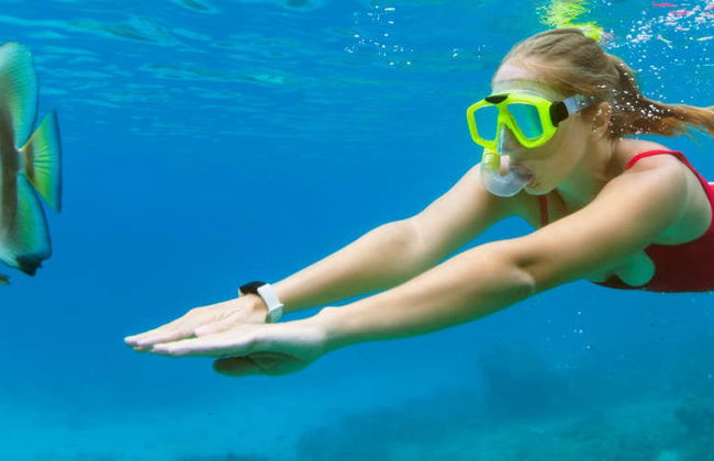Snorkel en las islas Medas - Foto 8