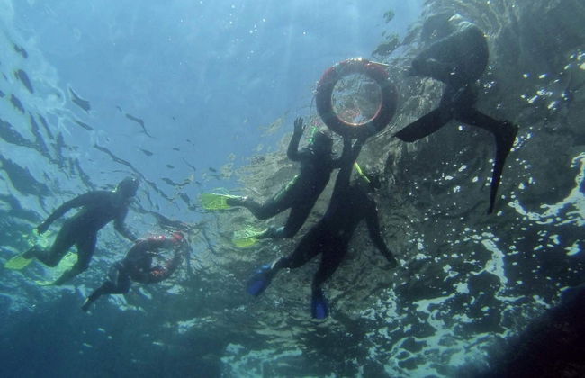 Snorkel en las islas Medas - Foto 4
