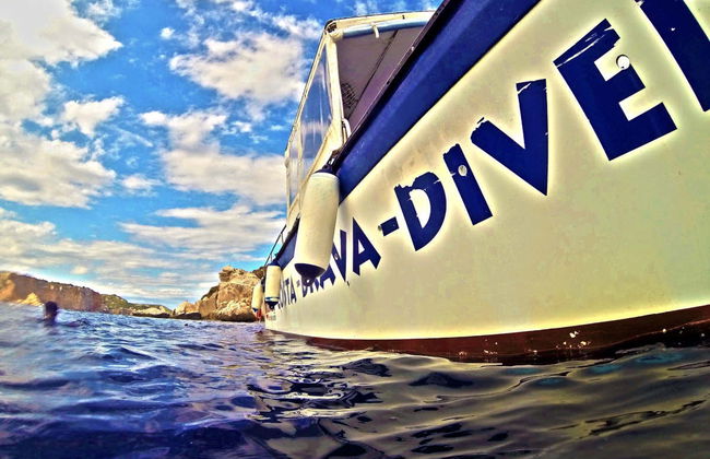 Snorkel en las islas Medas - Foto 5