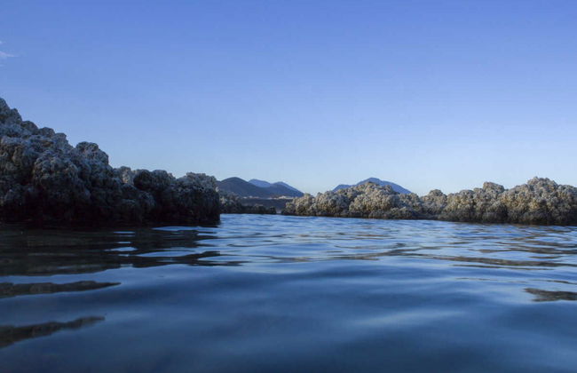 Day Trip to Cantona - Foto 2