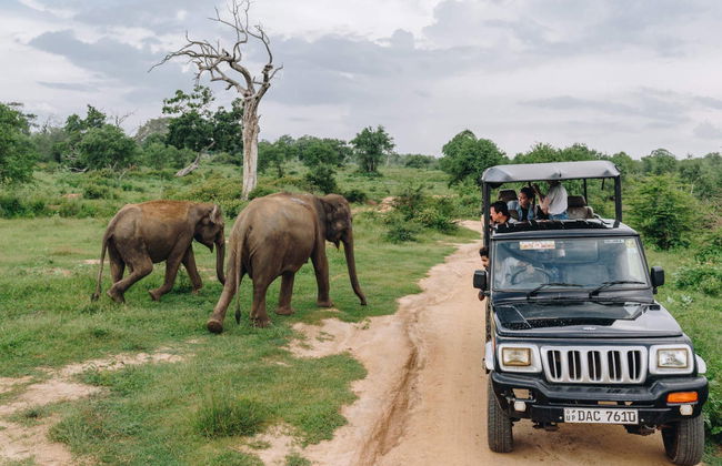 Private Udawalawe Day Trip - Photo 1
