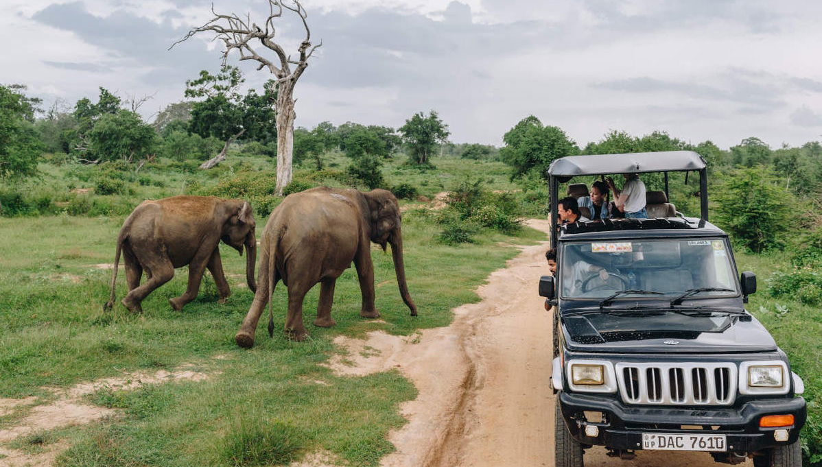 Private Udawalawe Day Trip - Photo 1