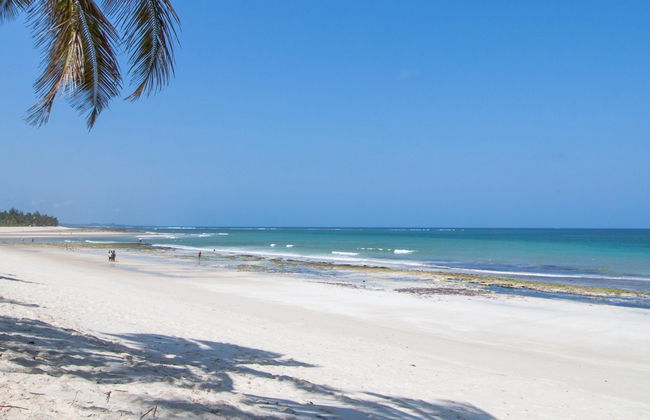 Excursion à la plage de Diani - Photo 2