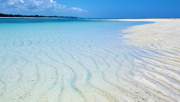 Excursión a la playa de Diani - Foto 4