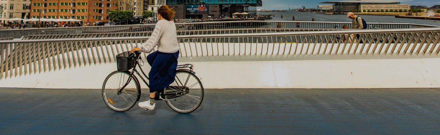 Tour di Copenaghen in bicicletta - Foto 1