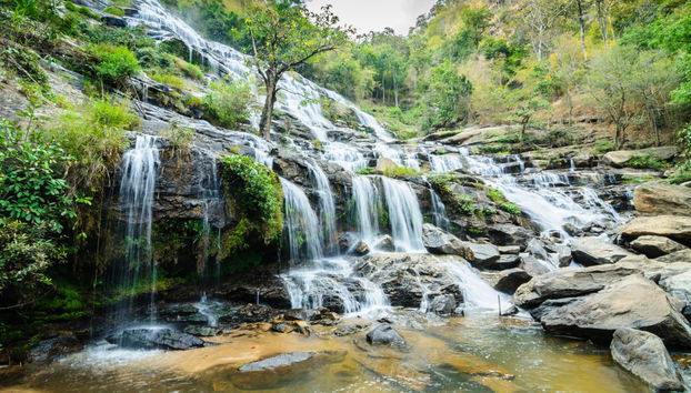 Doi Inthanon Trip - Photo 3