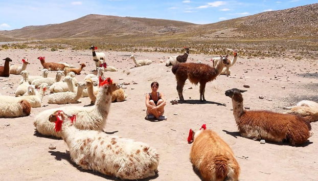 Private Trip from Arequipa - Photo 2