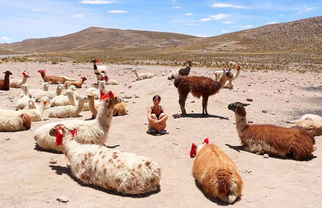 Escursione privata da Arequipa - Foto 2