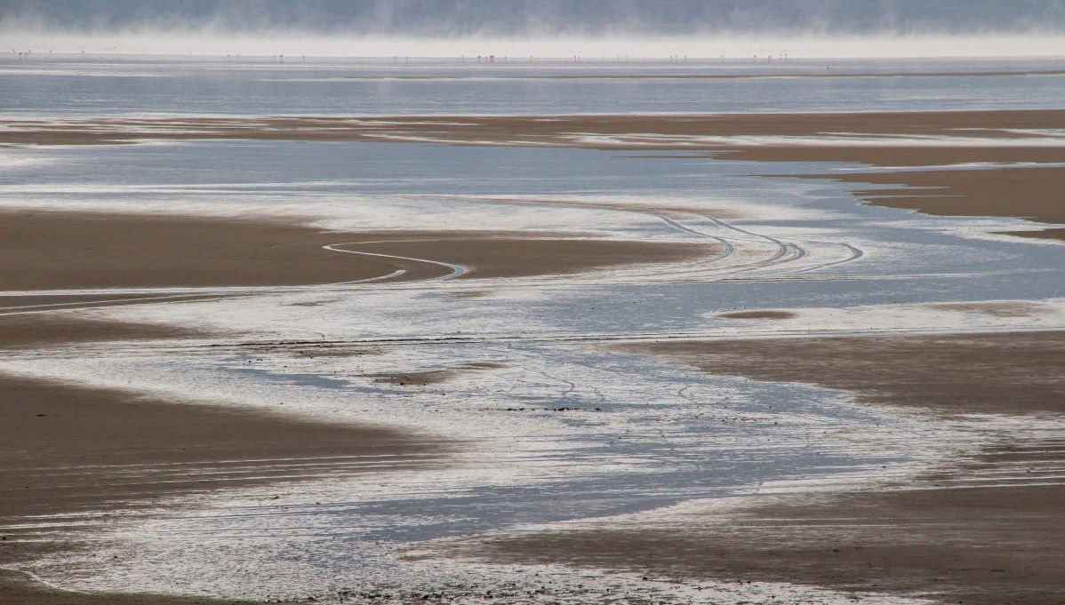 Escursione alla Laguna de Salinas - Foto 1