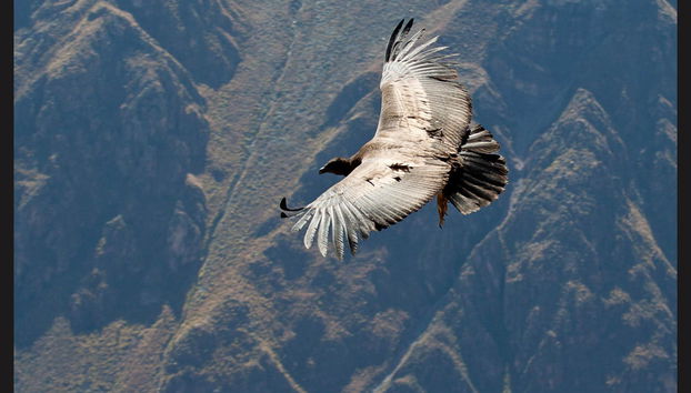 Private Trip from Arequipa - Photo 3