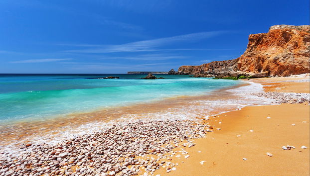 Tour en 4x4 por Sagres - Foto 5