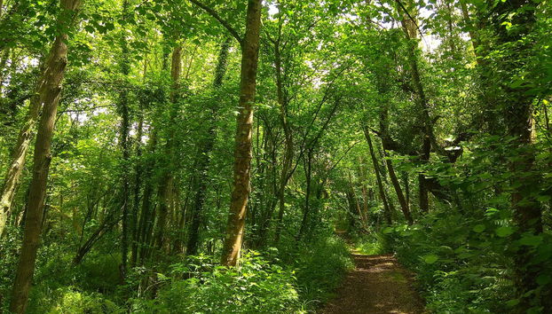 Senderismo por los meandros del río Nora - Foto 2
