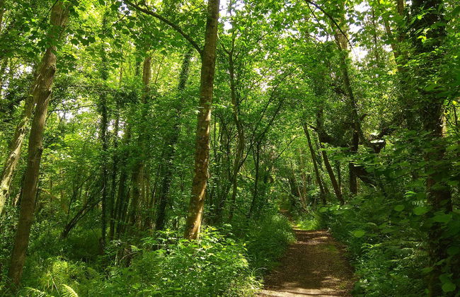 Nora River Hiking Tour - Photo 2
