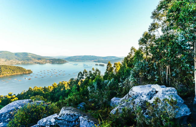 Escursione all'isola di San Simón in barca - Foto 1