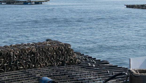 Excursão à ilha de San Simón de barco - Foto 4