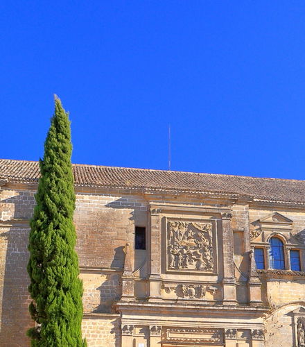 Photo – Baeza Cathedral Guided Tour
