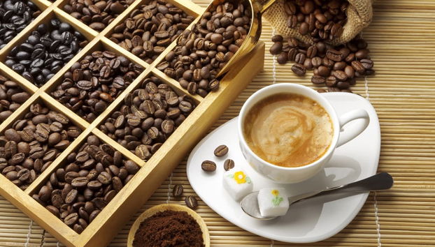 Coffee Workshop & Tasting in La Candelaria - Photo 2