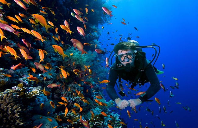Bautismo de buceo en Cartagena - Foto 8