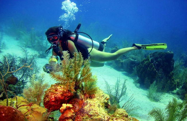 Bautismo de buceo en Cartagena - Foto 7