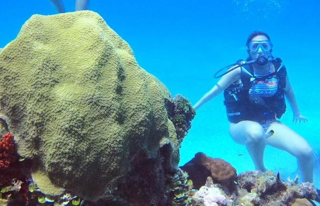 Bautismo de buceo en Cartagena - Foto 10