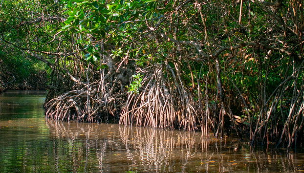 Tour in San Andres - Foto 2