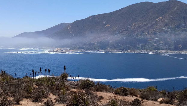 Avvistamento di pinguini all'isola di Cachagua - Foto 5