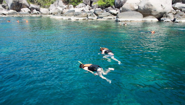 Koh Tao Snorkeling - Foto 5
