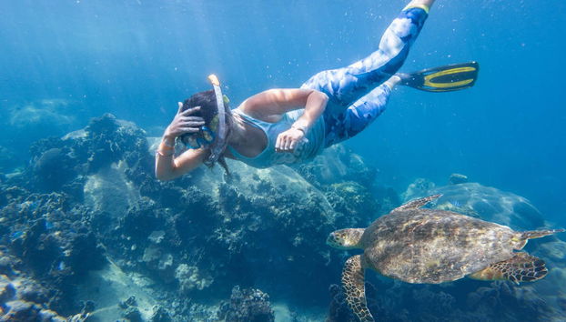 Koh Tao Snorkeling - Foto 4