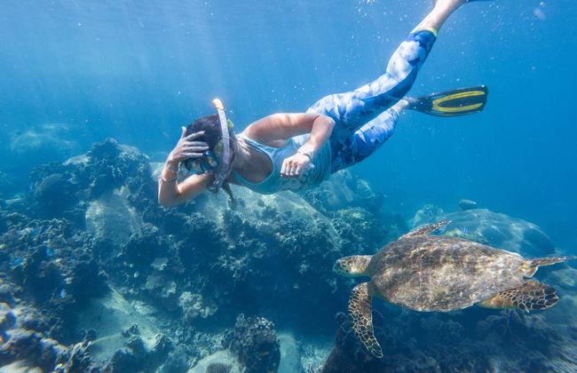 Koh Tao Snorkeling - Photo 4