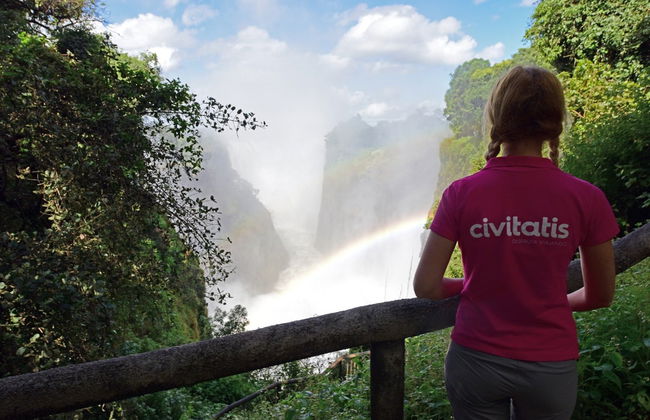 Excursion privée aux chutes Victoria - Photo 1