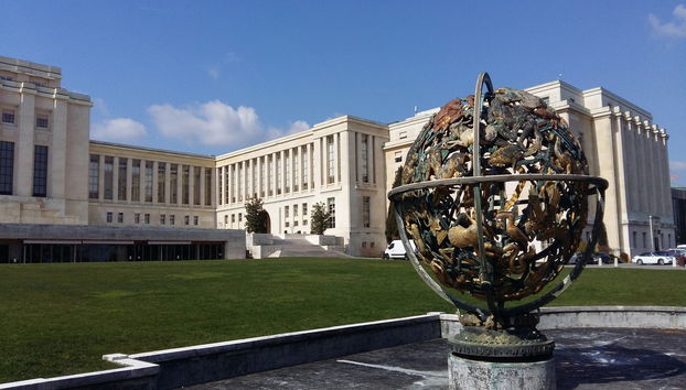 Visite panoramique de Genève + Train touristique - Photo 4