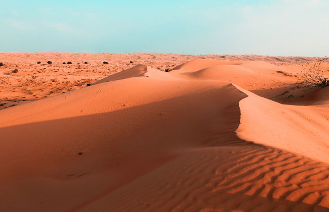 Tour en quad por el desierto Al Wadi - Foto 6