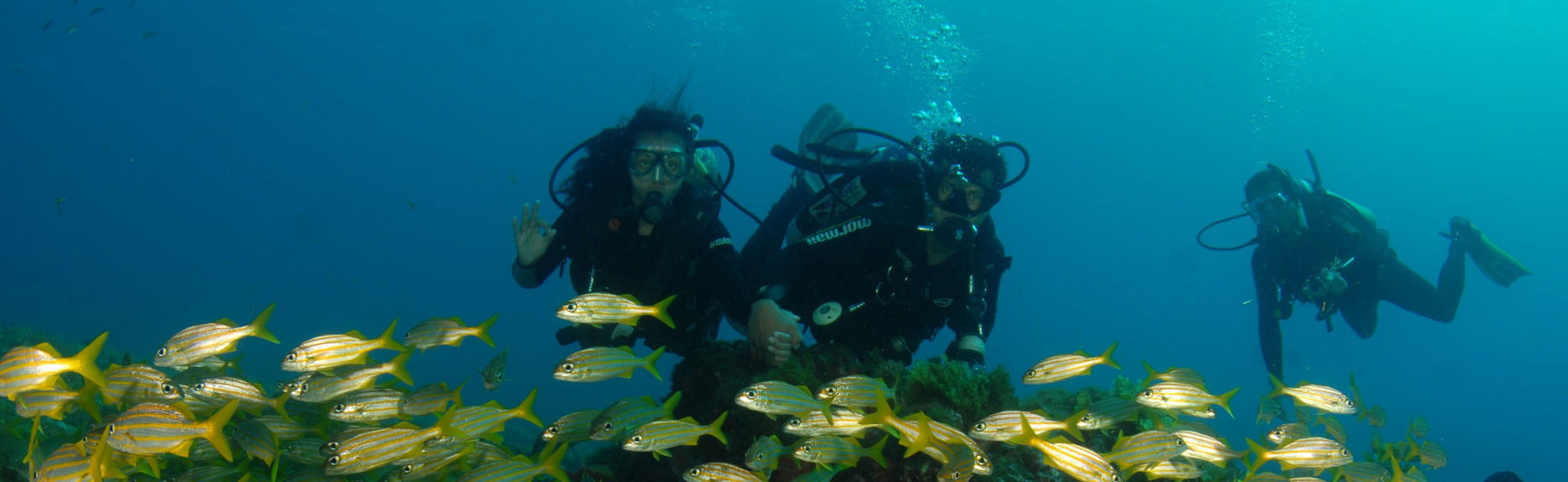 Fernando de Noronha Diving Excursion - Photo 1